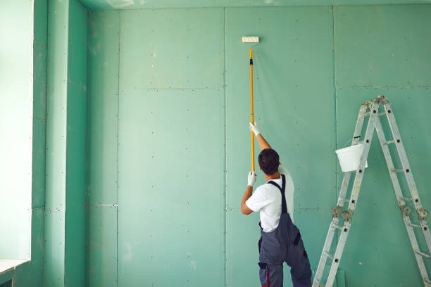 Best Attic Mold Removal  in Avilla, AR