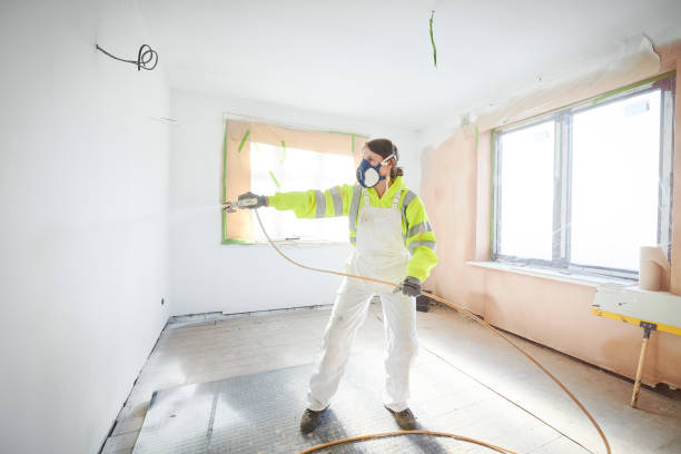 Best Mold Damage Restoration  in Avilla, AR