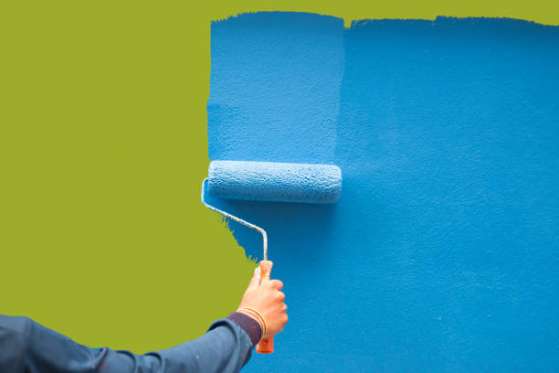 Best Water Damage & Mold Remediation  in Avilla, AR